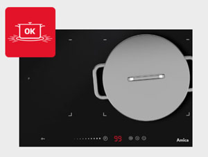 Bếp từ Cata INSB 6032 BK check pot