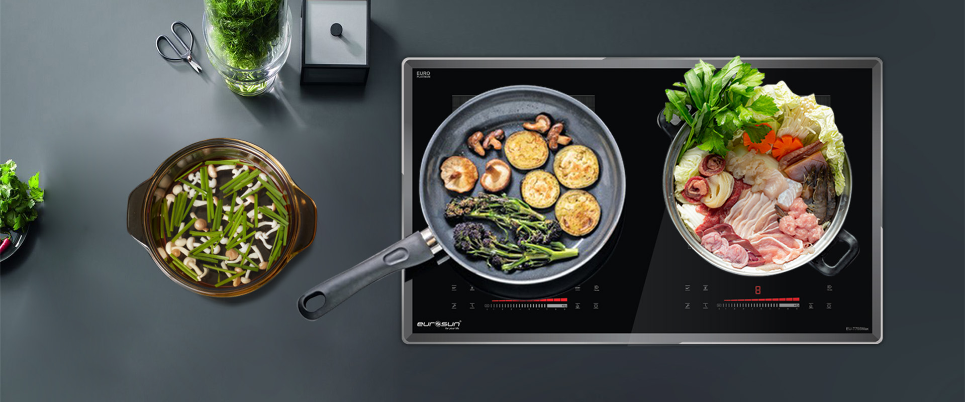 755pro bep-tu-eurosun-eu-t755max