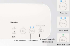As31 Web.5