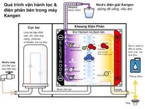 Cơ Chế Vận Hành