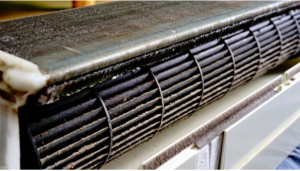 Nấm Mốc điều Hòa Web