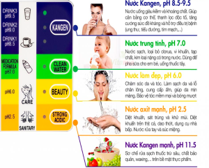 Sd501 Web Phân Loại