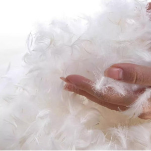 sofa-vang-da-bo-y-hien-dai-pula-nina-v85-8-1 Lông vũ bề mặt