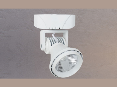 ĐÈN RỌI TRANH NL-NP 06A