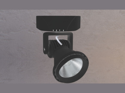 ĐÈN RỌI TRANH NL-NP 06B